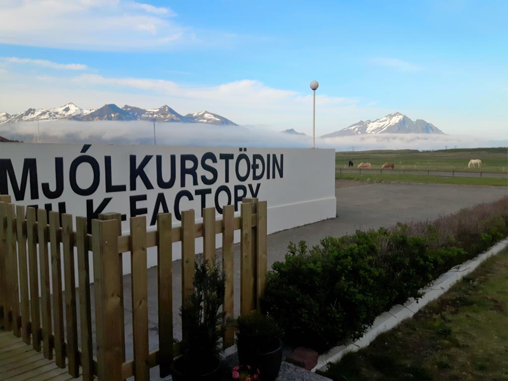 Milk Factory Bed and Breakfast Höfn Eksteriør billede